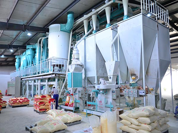 Yellow Maize Processing