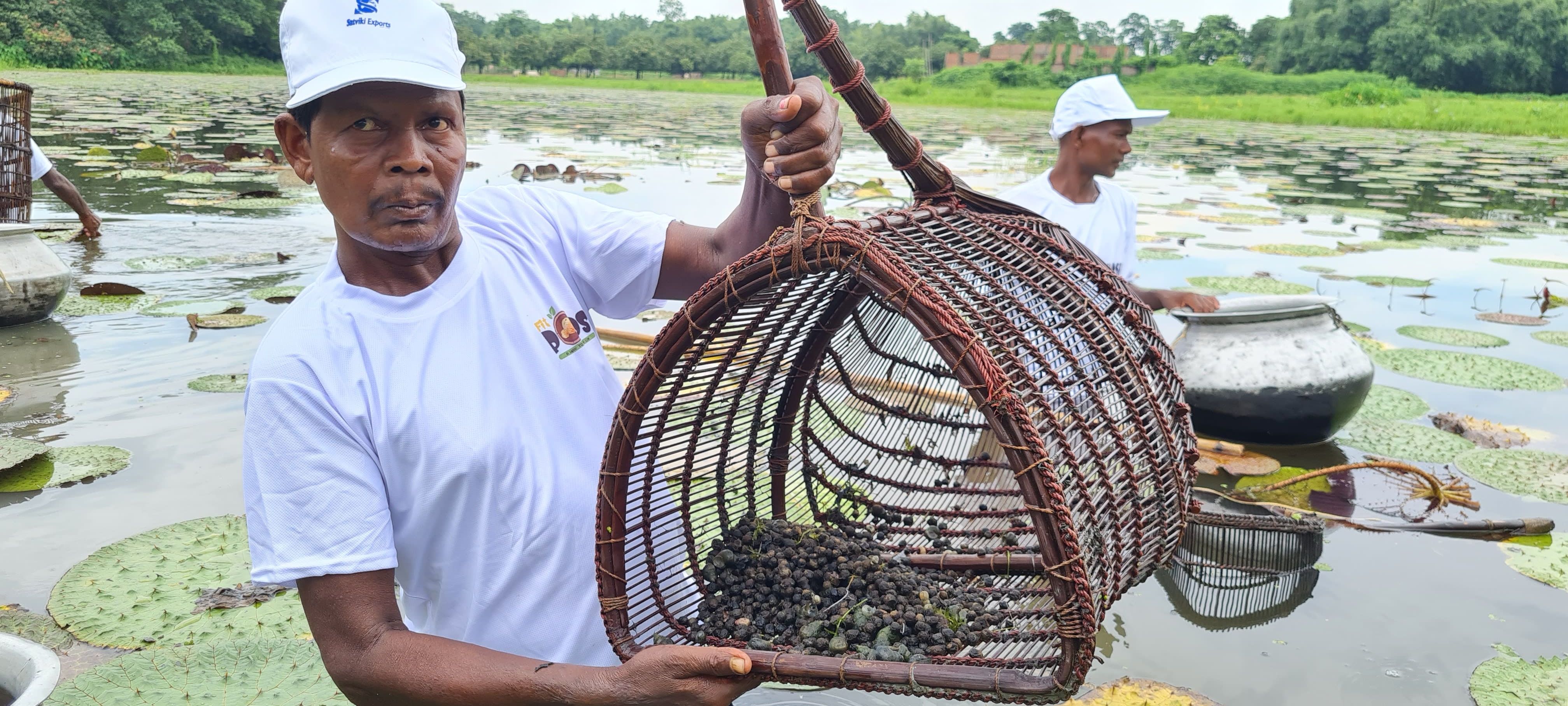 Basket of Fresh Seeds